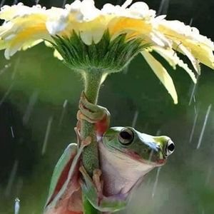 Meet your Posher, Claire